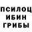 Псилоцибиновые грибы Psilocybe Liga cpm